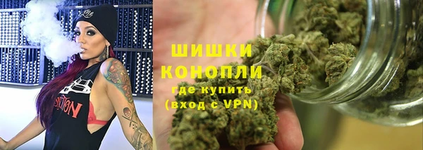 индика Володарск